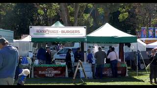 Maleny Show 2017  Maleny Black Angus Beef [upl. by Edivad220]