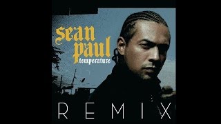 Sean Paul  Temperature ftPitbull REMIX [upl. by Selinski]