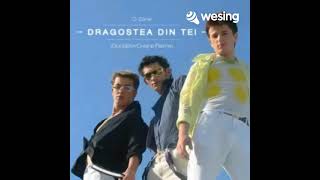 Cover Dragostea Din Tei by Mei feat CR [upl. by Ahsineb]