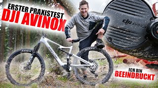 DJI AVINOX auf Trails  Beeindruckendes neues EBike System [upl. by Offen75]