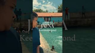 Keerimalai pond jafna 💫✨♥️♥️ travel subscribe youtubeshorts [upl. by Nifares]