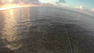 Belize DIY bonefishing [upl. by Motch]