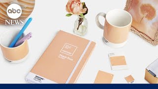 Pantone announces its 2024 color of the year Peach Fuzz [upl. by Muna]