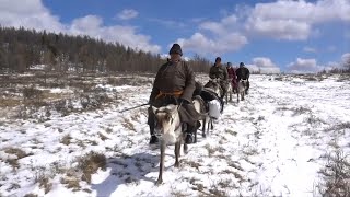 Video aus der Mongolei Naturschutz vs RentierNomaden  DER SPIEGEL [upl. by Arekat]