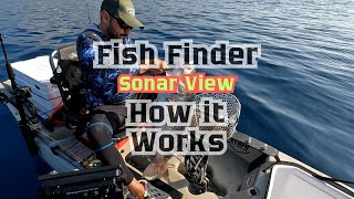 How İt Works  Fish Finder  Catching Fish  Sonar View [upl. by Lanos]