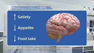 GLP1 New Drug RampD Service Physiological Actions of GLP 1s [upl. by Jaeger994]