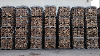 The process of massproducing 8000 tons of wood firewood per year No 1 firewood factory in Korea [upl. by Silvano]