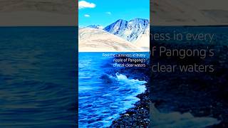 Feel the calmness in every ripple of Pangong’s crystalclear waters pangonglake lehladakh leh [upl. by Favianus]