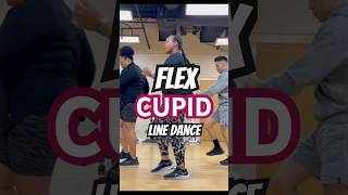 Line Dance  Cupid  Flex linedance cupid flex linedancing easychoreography youtubeshorts usa [upl. by Kannav951]