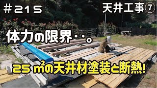 ≪週末DIYから始める移住への道≫ ＃215 25㎡の天井断熱材施工と塗装で‥アラフィフの体力が限界を迎えました。 天井工事７ アラフィフ開拓≫ [upl. by Neelahs857]