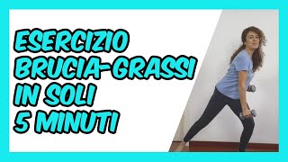 Cardio Fitness brucia grassi a casa in 5 minuti  LIVELLO FACILE  Silva Iotti [upl. by Aliuqet]