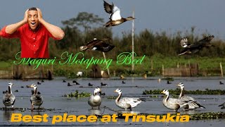 Maguri Motapung Beel Episode I মাগুৰি বিল । What a beautiful place at Tinsukia [upl. by Nehgaem]