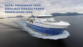 KAPAL PENANGKAP IKAN CANGGIH SEKALIGUS SEBAGAI PABRIK PENGOLAHAN IKAN [upl. by Nich405]