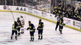 MICHIGAN HOCKEY GOAL VS ARIZONA STATE ncaa michigan wolverines ncaa hockey ice arizona az [upl. by Mastic9]