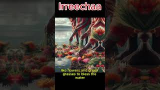 Irreecha Oromo Celebration 2024  Oromo Thanksgiving Festival Highlights [upl. by Kedezihclem]