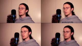 The Snowman  Walking In The Air A CAPPELLA COVER [upl. by Lohner805]