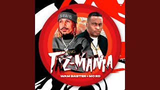 Taz Mania [upl. by Wilone]