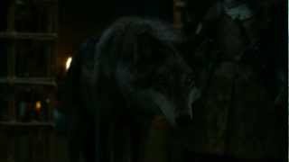 GoT Jon Snow  The Targaryen Wolf [upl. by Aieken677]