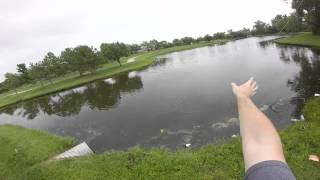 tenkara fishing for bass and panfish wichita kansas [upl. by Lacagnia]