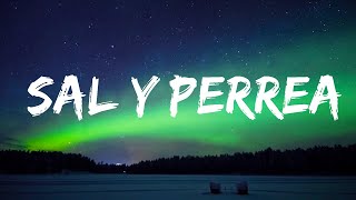 Sech  Sal y Perrea  Top Best Song [upl. by Hegyera]