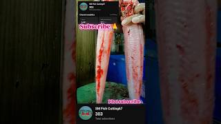 Amazing barrel fish cutting ✂️🐟 baralfish cuttingskills seafood fishing shorts [upl. by Nosral]