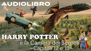 Harry Potter e la camera dei segreti  Lettura e Commento Cap 1213 Audiolibro [upl. by Barbour173]