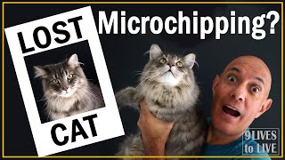 Will Microchipping Help Find Your Cat [upl. by Gulick874]