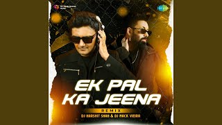 Ek Pal Ka Jeena  Remix [upl. by Areek]