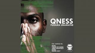 Qness  Fugama Unamathe Aero Manyelo ReWork [upl. by Ettenyl244]