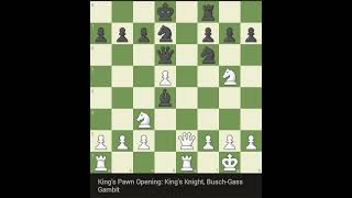 Kings Pawn opening  Kings knight Buschgass gambit chess chessgrandmaster hikaru chessmate [upl. by Odine]