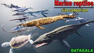 Ancient marine reptile Size Comparison 🐟 Which Marine reptile is the biggest [upl. by Barren642]