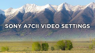 A7CII Cinematic Video Settings  How To Get the Best Footage [upl. by Corliss]