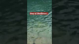 Obedience is Better Than Sacrifice love faith prayer motivation jesus ytshorts youtubeshorts [upl. by Oulman]