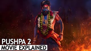 Pushpa 2 The Rule Full Movie Explained in Hindi  BNN Review [upl. by Sekoorb]