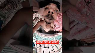 Insta360 camera funny video Sanatani360rider insta360 sanatani360rider funny comedy [upl. by Firmin660]