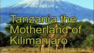 Kilimanjaro Connection BandTanzania by Kanku Tubajike quotKellyquot [upl. by Epillihp]