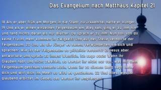 Das Evangelium nach Matthäus Kapitel 21 [upl. by Weissman]