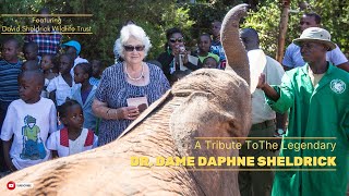 Dr Dame Daphne Sheldrick Tribute 4K [upl. by Aroon]