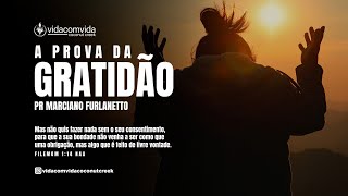 A PROVA DA GRATIDAO [upl. by Tilla487]