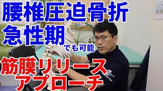 圧迫骨折急性期で悩む理学療法士・作業療法士必見！腰椎圧迫骨折の急性期でもできる筋膜リリースについて解説します。ここを見てください。 [upl. by Notloc]