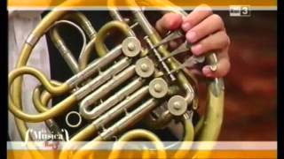 Schumanns 3rd Symphony 1st Mov Horn Section Solo [upl. by Lenra122]