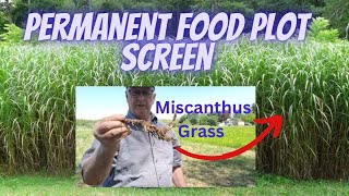 The Best Way to Plant a Permanent Plot Screen with Miscanthus [upl. by Schumer]