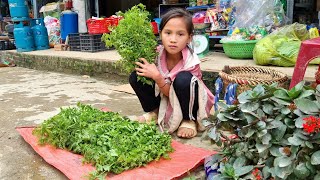 Harvesting the vegetable garden and bringing it to the sidewalk to sell my kind sister helped [upl. by Ymas]