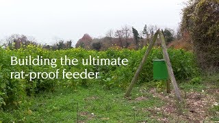 Building the ultimate ratproof gamebird feeder [upl. by Nimzzaj]