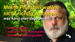 Meine Pflanzen wachsen nicht Was tun gegen Pflanzenprobleme und gegen Algen im Aquarium Grundlagen [upl. by Ruddie]