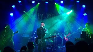 Majesty  JULY12 Madrugada Tribute Band Live  HolyWood 07062018 [upl. by Annaig]