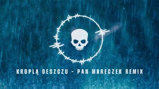 Gabriel Fleszar  Kroplą Deszczu Pan Mareczek Remix Official Lyric Video [upl. by Nivej579]