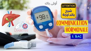 شرح بالدارجة la communication hormonale 1 BAC La régulation de la glycémie [upl. by Thissa]