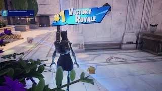 Fortnite 1024 10kill solo Victory [upl. by Mascia966]