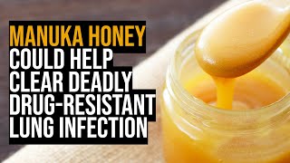 Manuka honey could help to clear deadly drugresistant lung infection – new research [upl. by Watanabe]